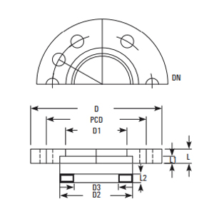 Bellow flange – top half-view and side profile with dimensions DN, D, D1, D2, D3, L, L1, L2 and PCD