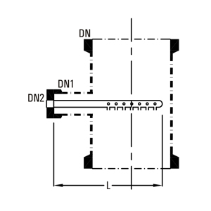 Column feed sparger assembly – cross-section showing sparger pipe in column, dimensions DN, DN1, DN2, L and holes