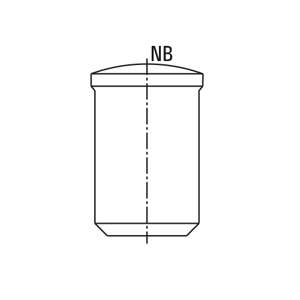 Plug for galvanised tubes – nominal bore (NB)