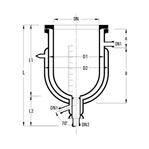Transparent double jacketed vessel